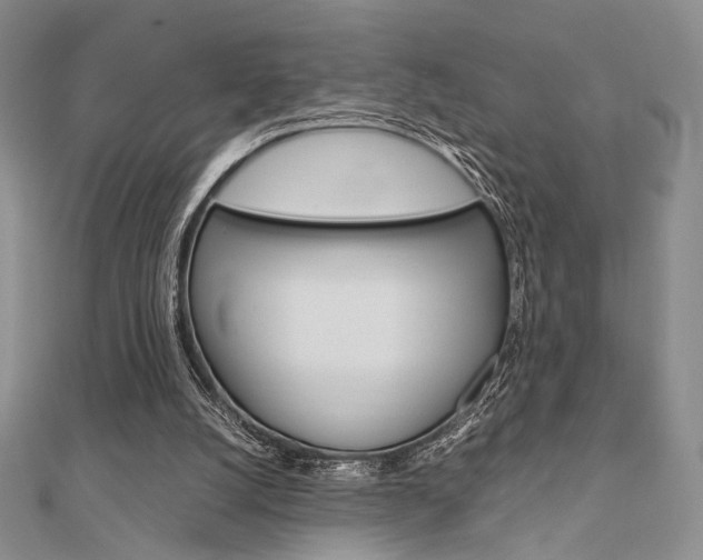 X0000112010056200908031030