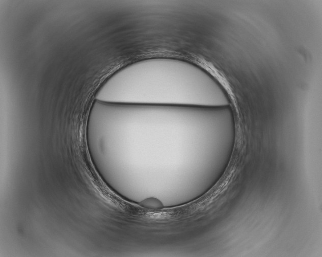 X0000112010057200908031030