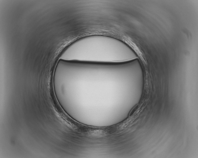 X0000112010058200908031030