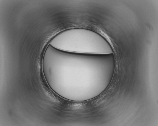 X0000112010059200908031030