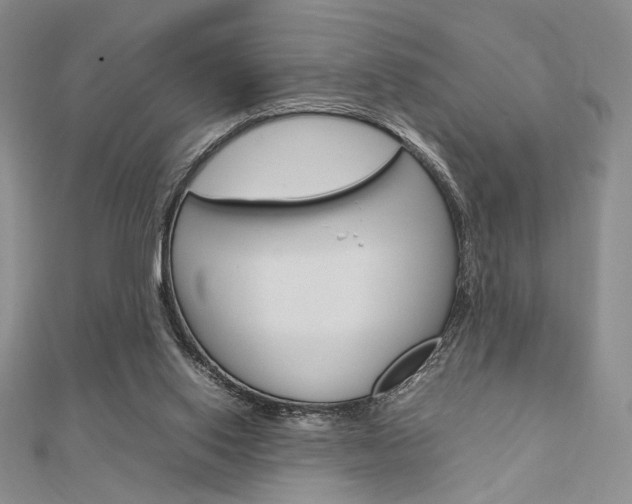 X0000112010062200908031030