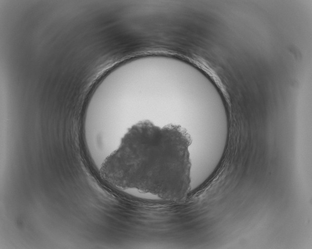 X0000112010063200908031030