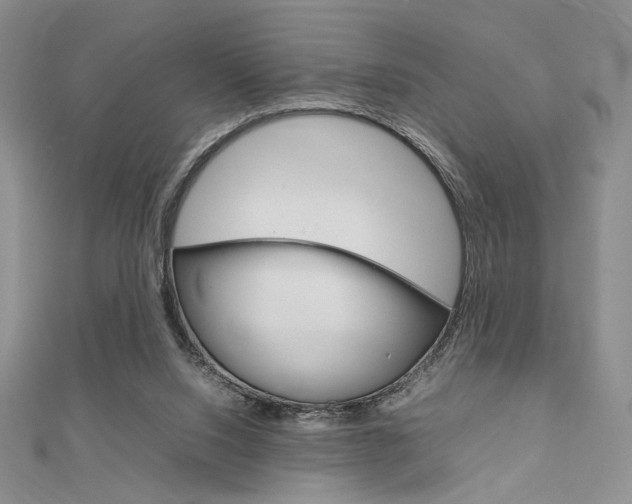 X0000112010064200908031030