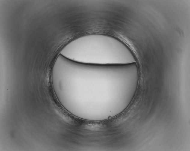 X0000112010065200908031030