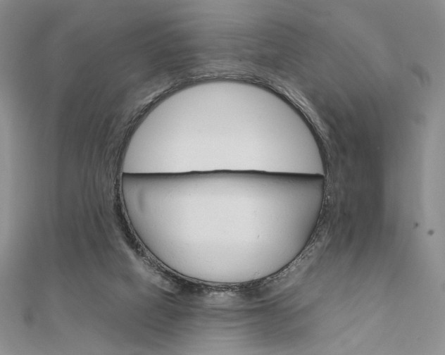X0000112010066200908031030