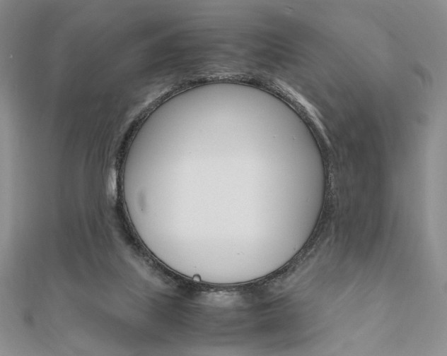 X0000112010067200908031030