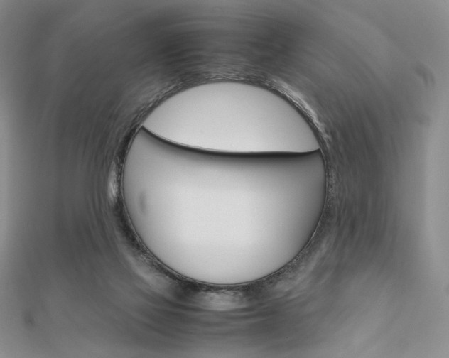 X0000112010069200908031030
