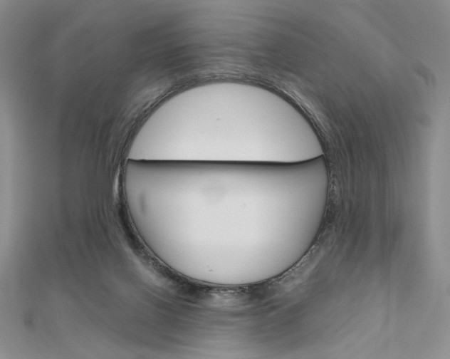 X0000112010070200908031030