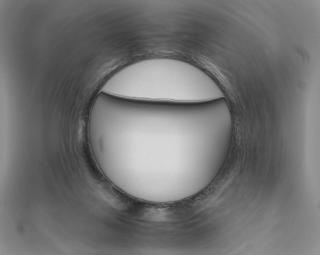 X0000112010071200908031030