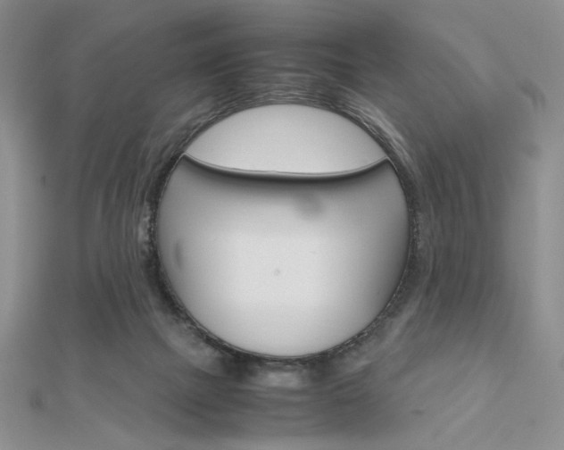 X0000112010073200908031030