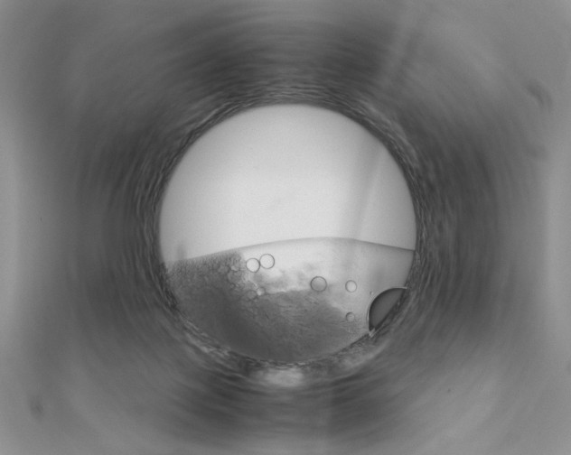 X0000112010075200908031030