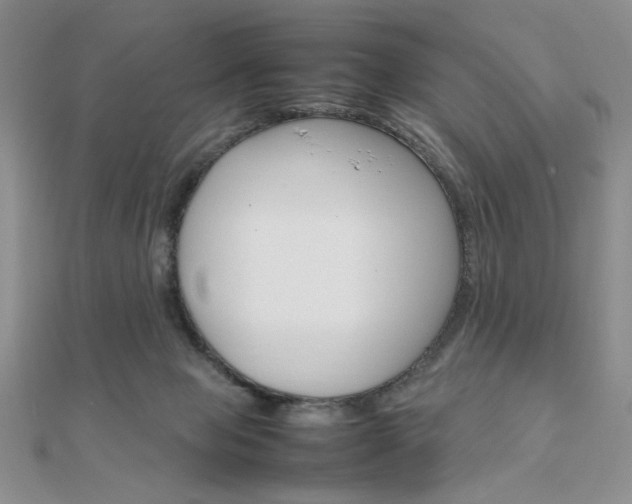 X0000112010077200908031030