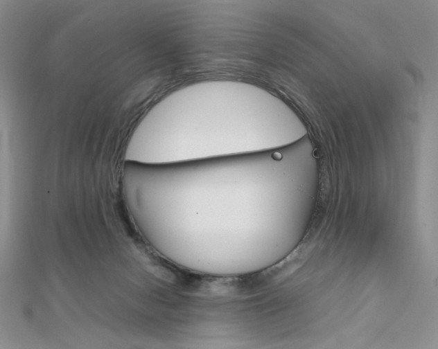 X0000112010078200908031030