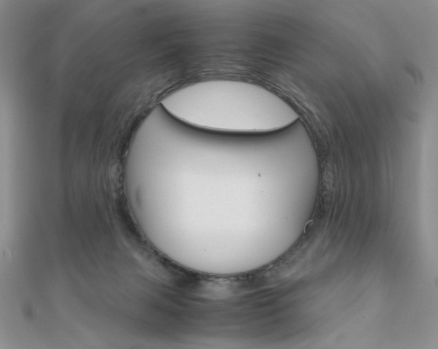 X0000112010079200908031030