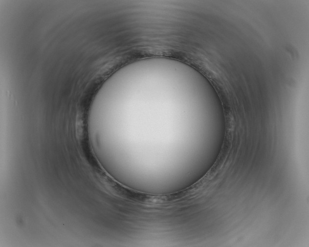 X0000112010080200908031030
