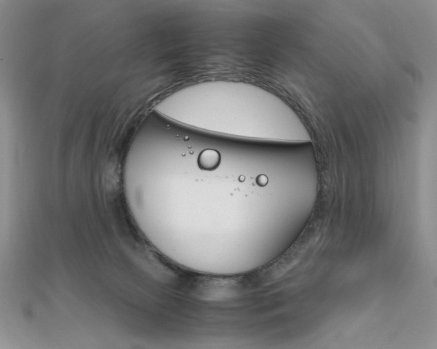 X0000112010081200908031030