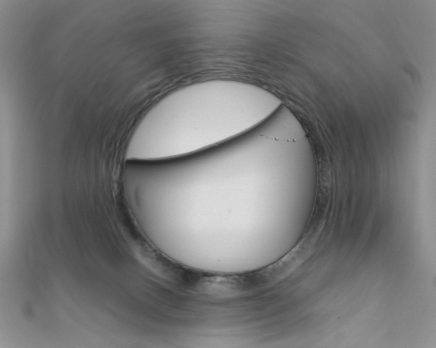 X0000112010082200908031030