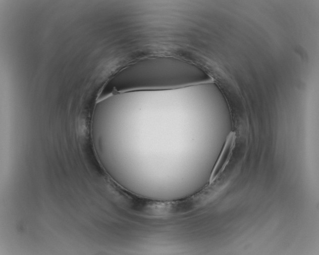 X0000112010084200908031030