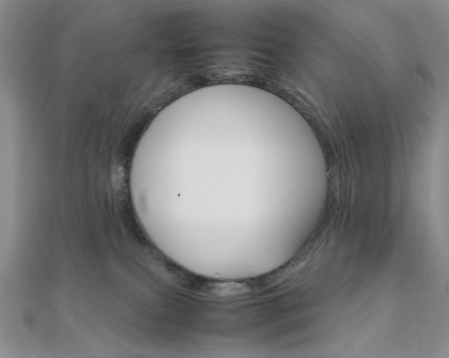 X0000112010087200908031030
