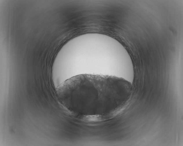 X0000112010089200908031030