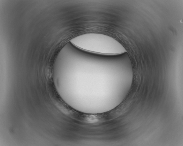 X0000112010091200908031030