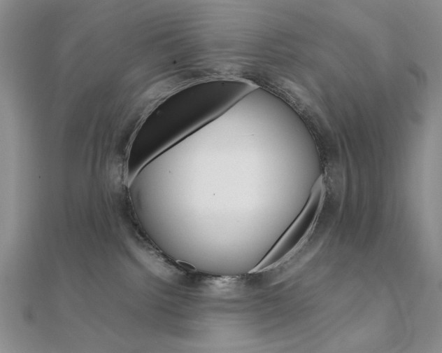 X0000112010092200908031030