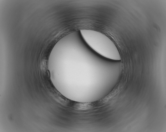 X0000112010093200908031030
