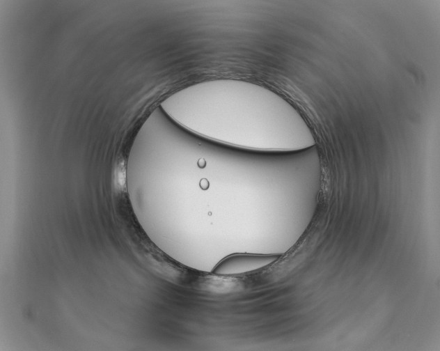 X0000112010095200908031030