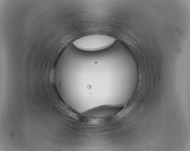 X0000112010096200908031030