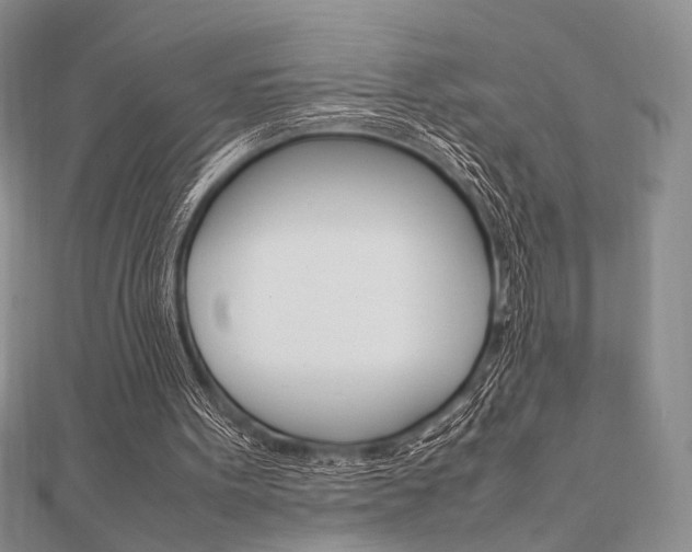 X0000112010099200908031029