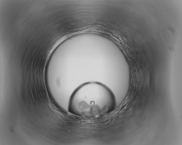 X0000112010100200908031029