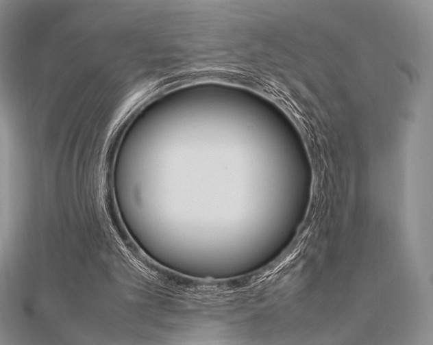 X0000112010101200908031029