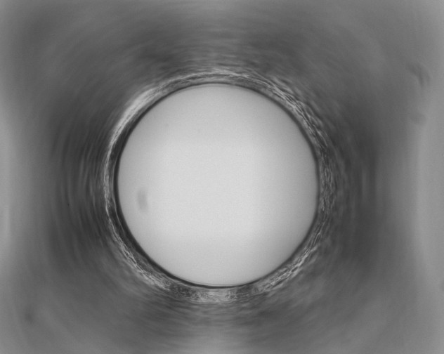 X0000112010102200908031029