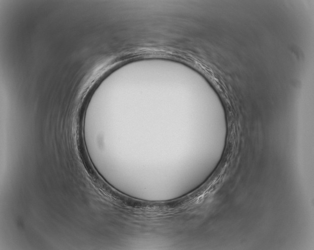 X0000112010103200908031029