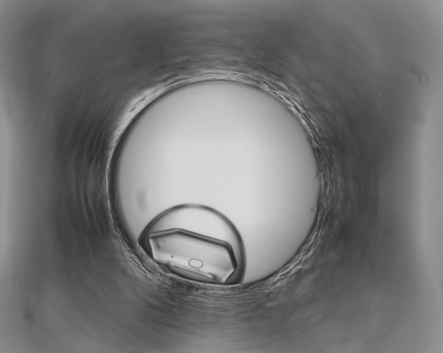 X0000112010104200908031029