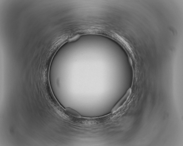 X0000112010105200908031029