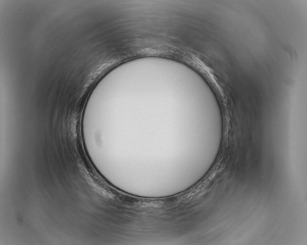 X0000112010106200908031029