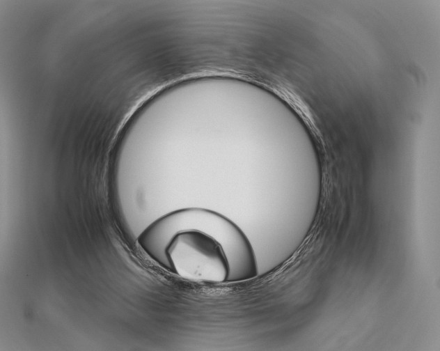X0000112010108200908031029