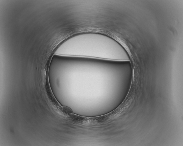X0000112010109200908031029