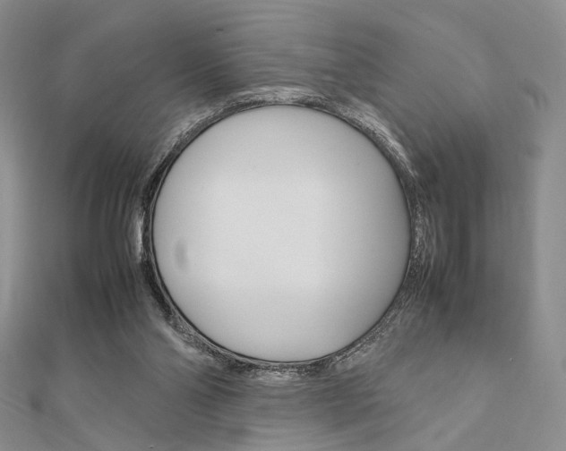 X0000112010110200908031029