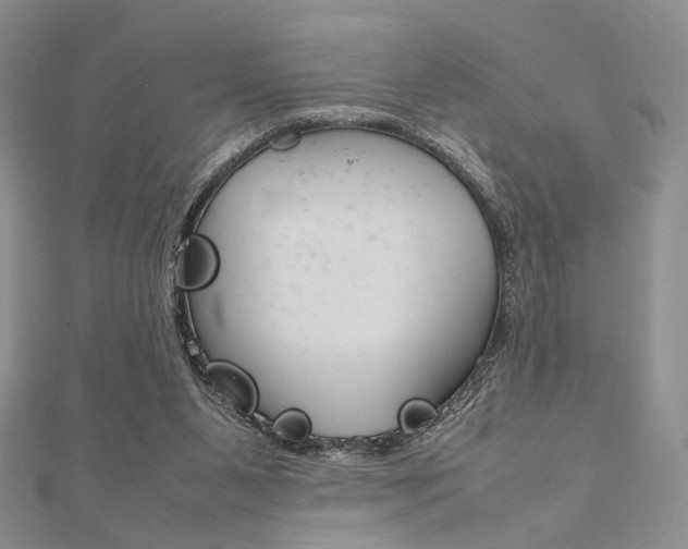 X0000112010111200908031029