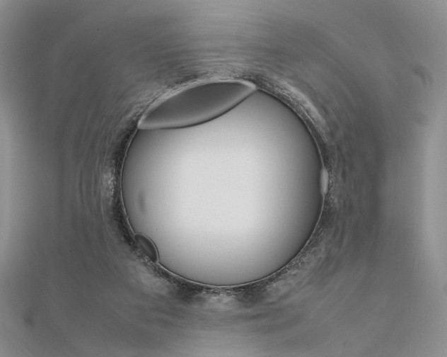 X0000112010113200908031029
