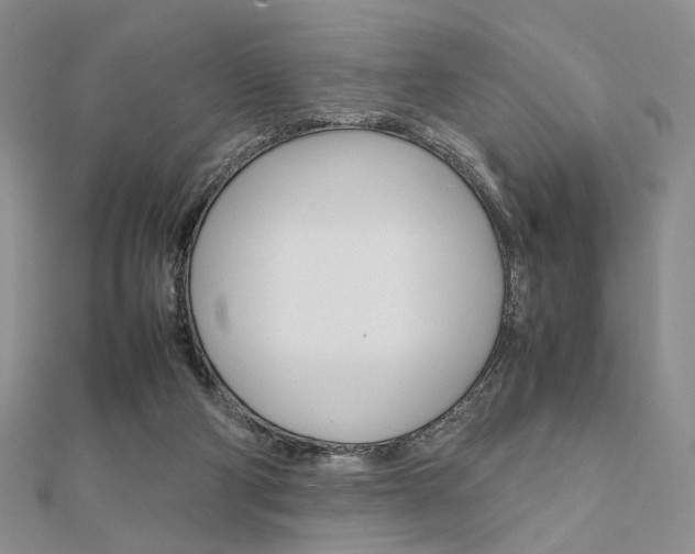 X0000112010114200908031029