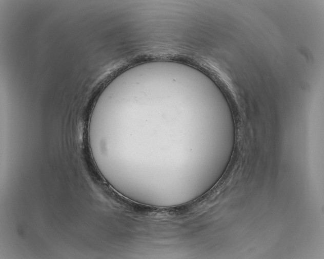 X0000112010115200908031029