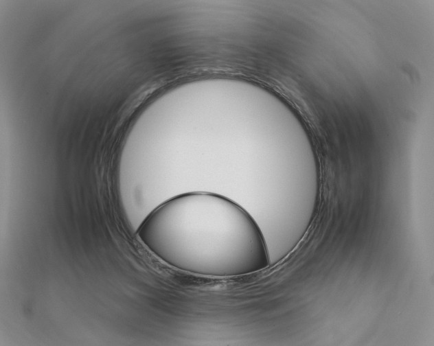 X0000112010116200908031029