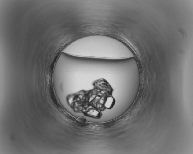 X0000112010117200908031029