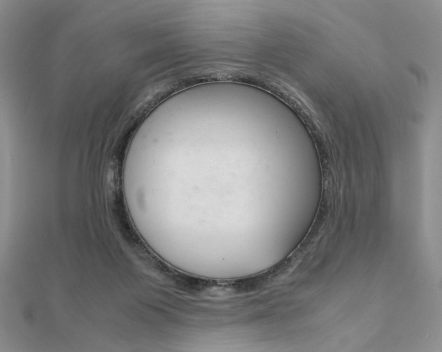 X0000112010119200908031029
