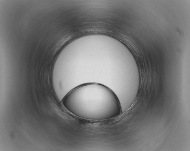 X0000112010120200908031029