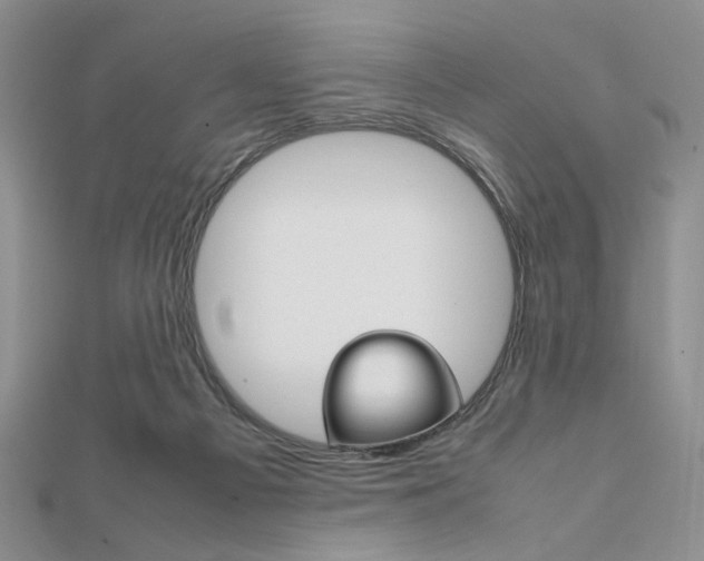 X0000112010121200908031029