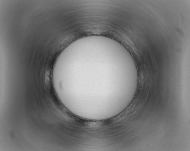 X0000112010122200908031029